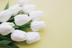 (photo: )