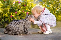 (photo: )
