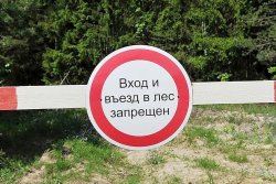 (photo: )