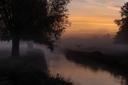 (photo: )