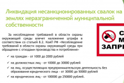 (photo: )
