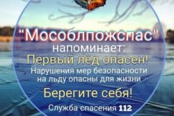 (photo: )