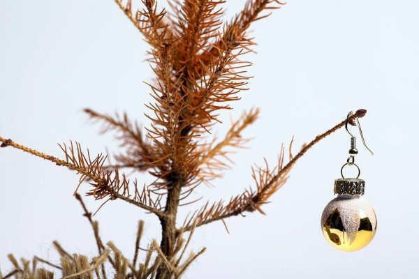 (photo: )