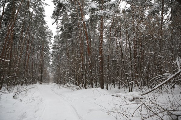 (photo: )