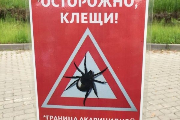 (photo: )