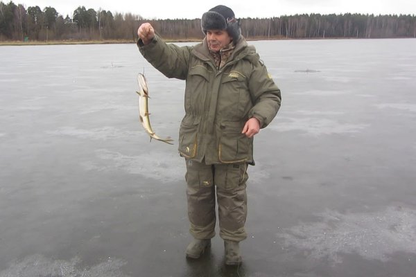 (photo: )