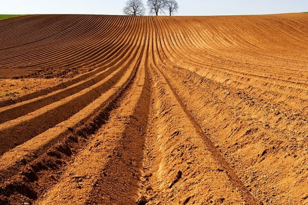 (photo: )