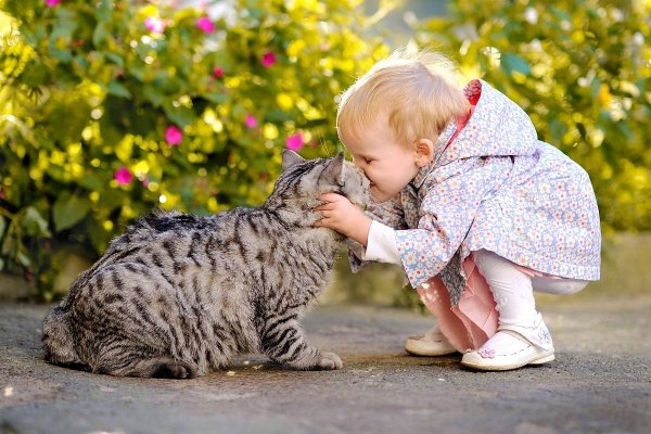 (photo: )