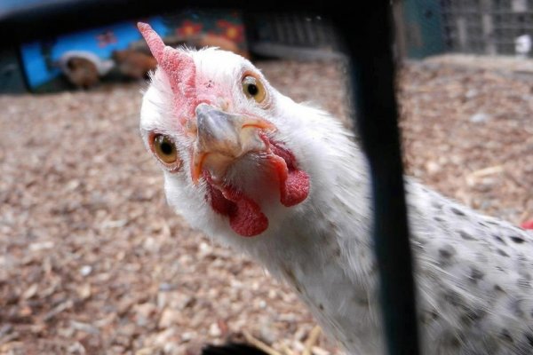 (photo: )