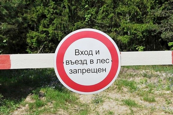 (photo: )