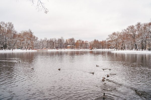 (photo: )
