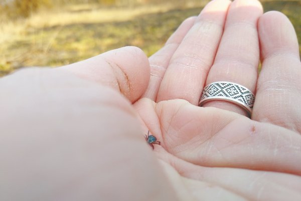 (photo: )