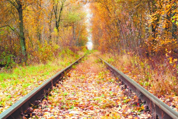 (photo: )