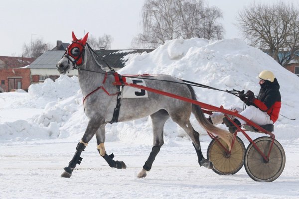 (photo: )