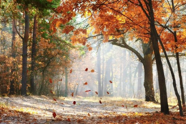 (photo: )