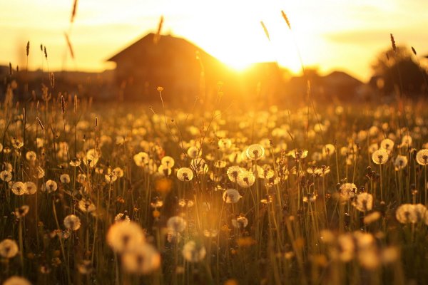(photo: )